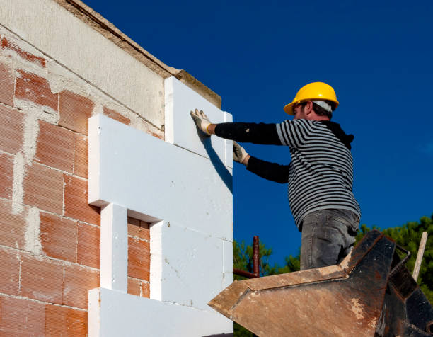 Best Eco-Friendly Insulation in Braddock, VA