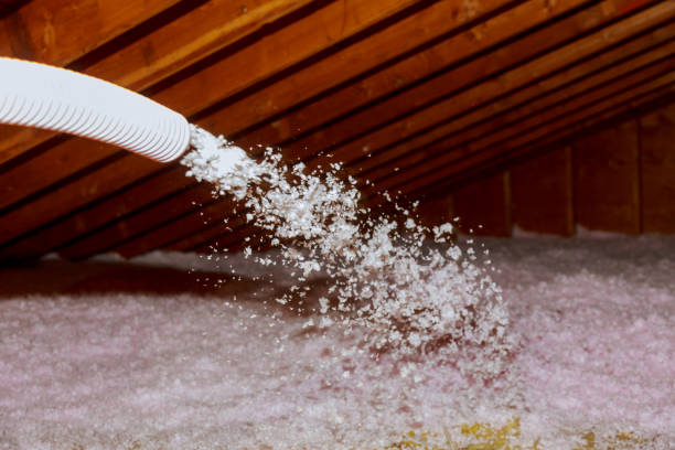 Best Spray Foam Insulation in Braddock, VA