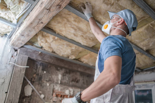 Professional Insulation Contractor in Braddock, VA