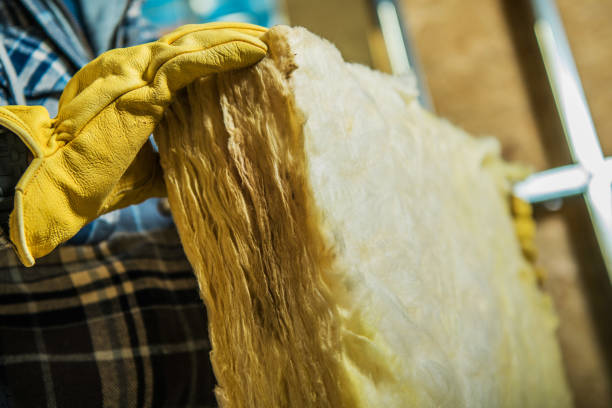 Best DIY Insulation Kits and Guidance in Braddock, VA