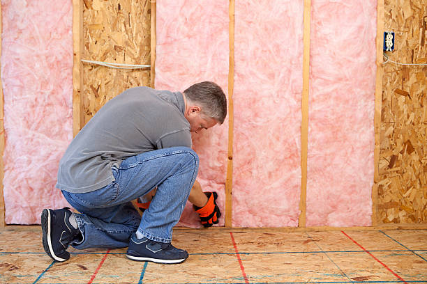 Best Commercial Insulation in Braddock, VA