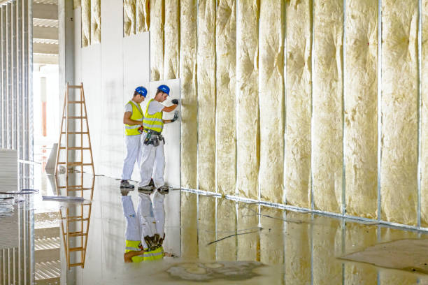 Best Geographic-Specific Insulation Services in Braddock, VA